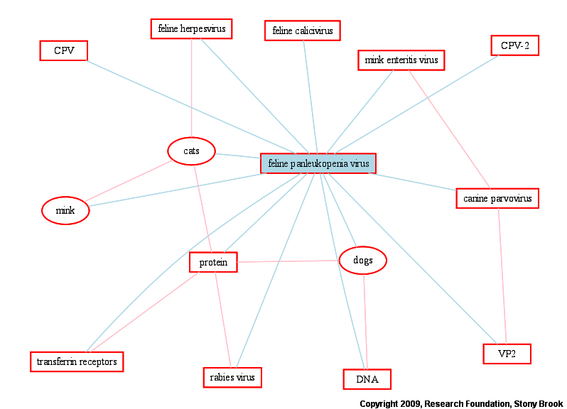 feline-panleukopenia-virus-entity-graph.gif
