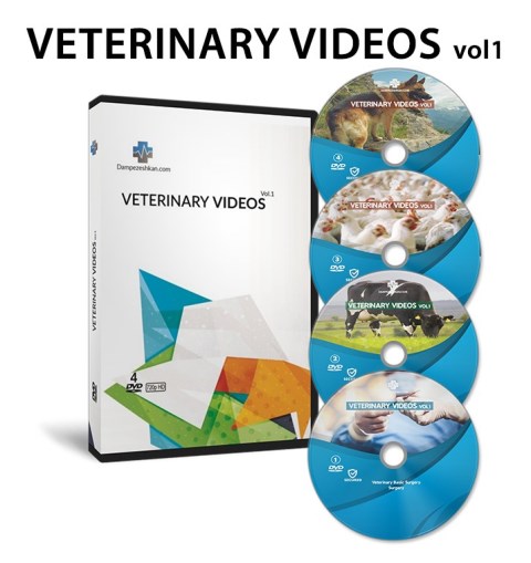 veterinary-videos1