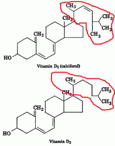 ویتامین D و اهمیت آن در تغذیه طیور