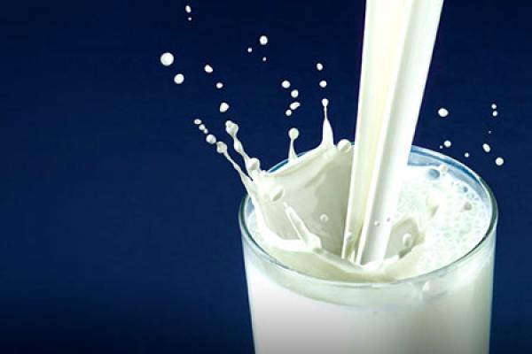بهداشت و ترکیبات انتی باکتریال شیر