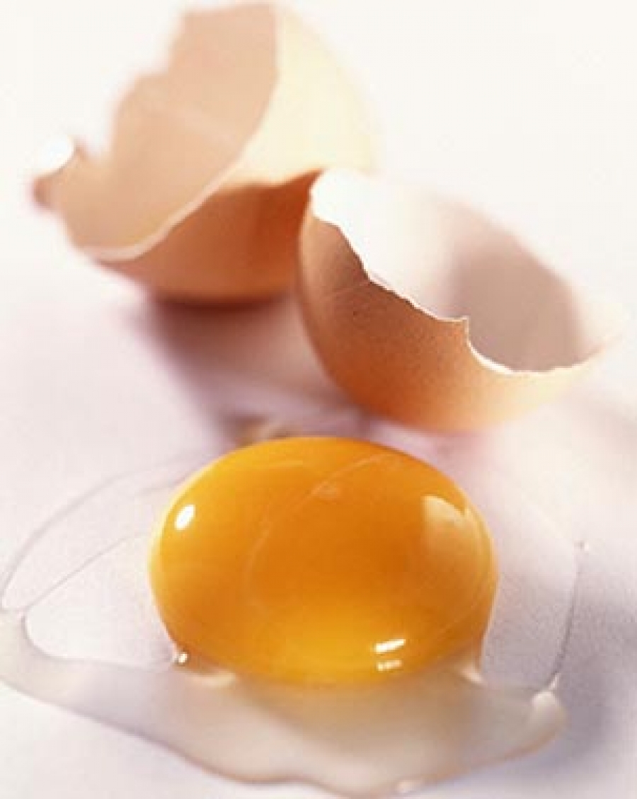 عوامل موثر بر کیفیت تخم مرغ