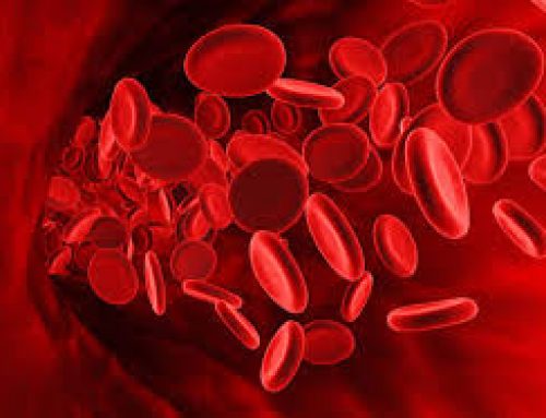 آشنایی با خون شناسی Hematology