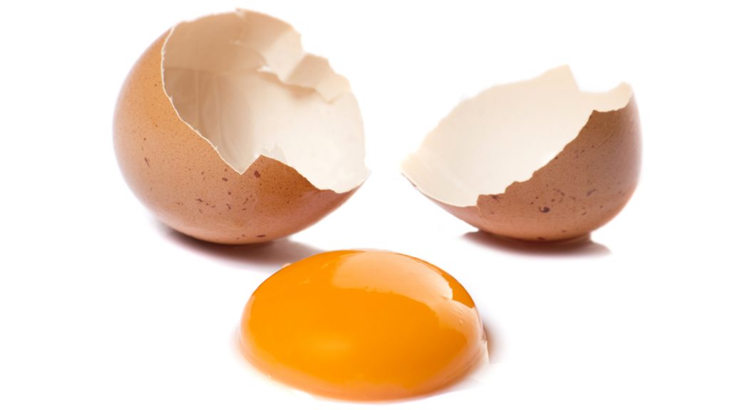 عوامل موثر بر کیفیت تخم مرغ
